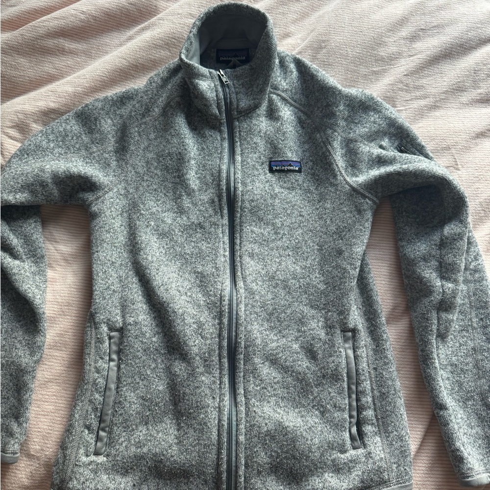 Patagonia Gray Full-Zip Fleece Jacket